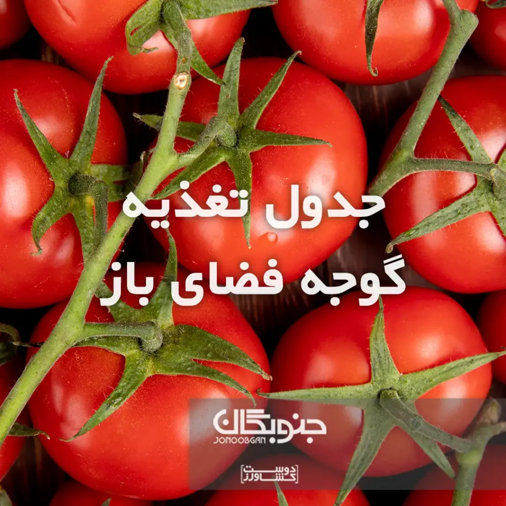 جدول تغذیه گوجه فضای باز جنوبگان